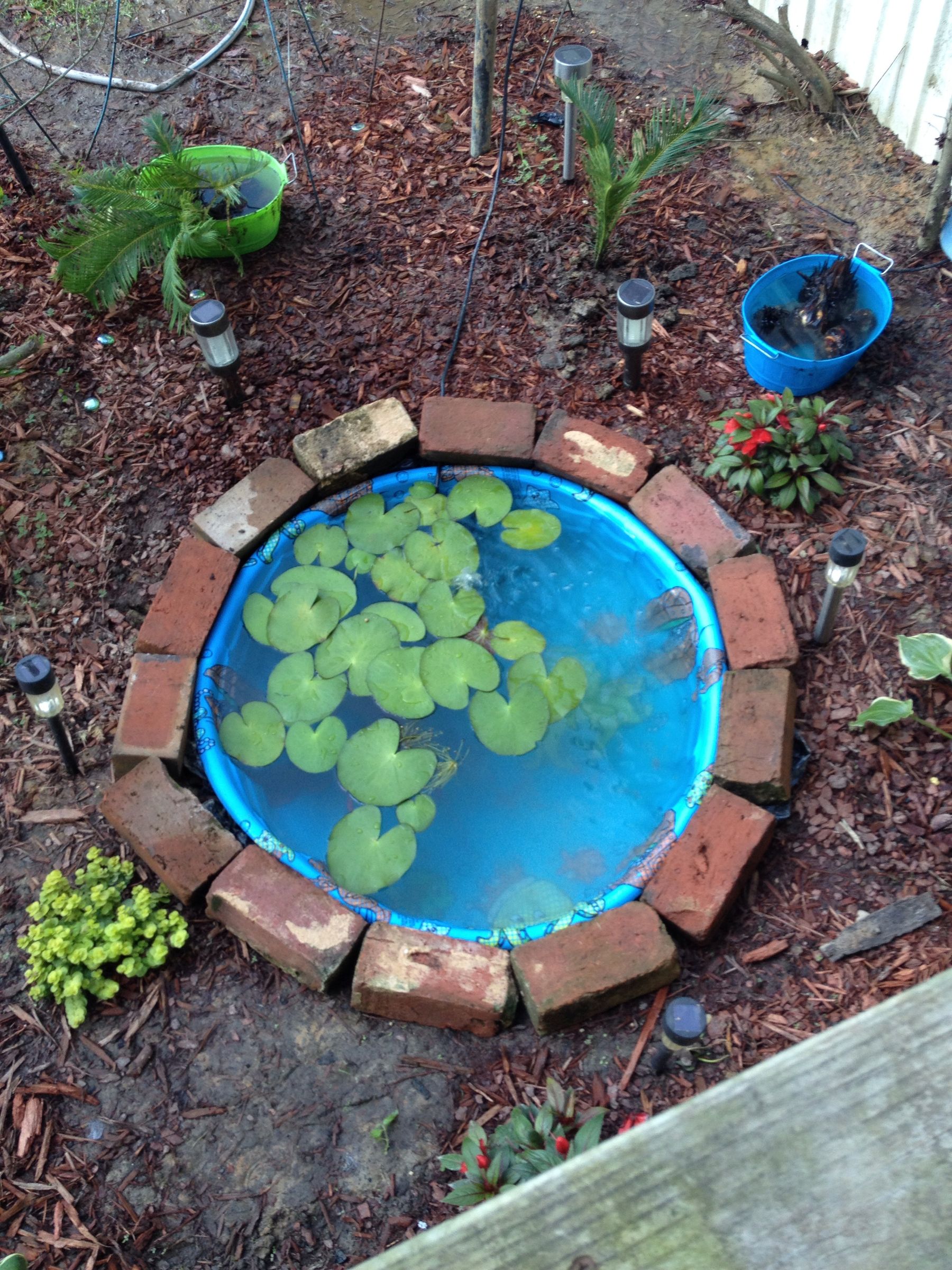 Fun Fish Pond