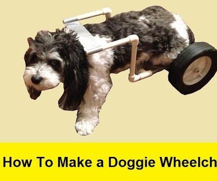 How to Make a Doggie Wheelchair