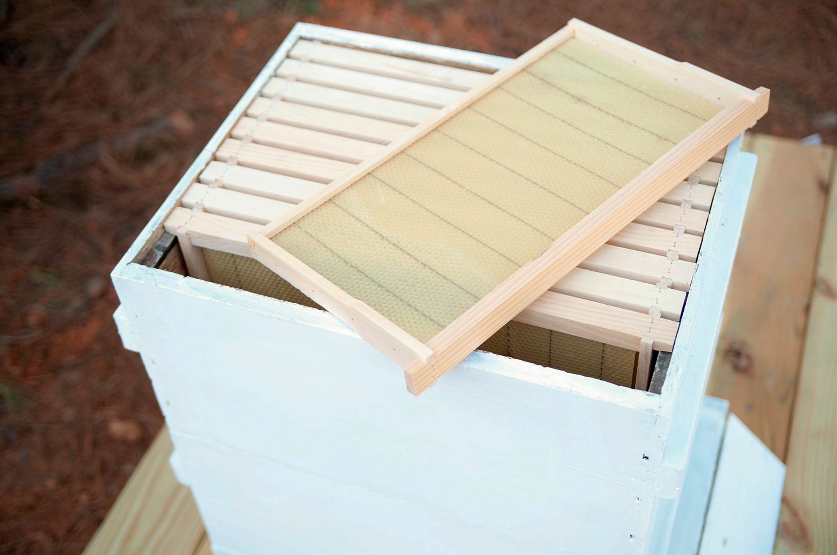 Start a Back Yard Honey Bee Hive : 10 Steps (with Pictures) - Instructables