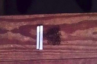 what cigarettes did cillian murphy smoke 3,000 cigarettes per season 🚬🎬😳 As Tommy Shelby, Cillian Murphy smoked around 3,000 herbal cigarettes per season filming Peaky Blinders what cigarettes did cillian murphy smoke 3,000 cigarettes per season 🚬🎬😳 As Tommy Shelby, Cillian Murphy smoked around 3,000 herbal cigarettes per season filming Peaky Blinders
