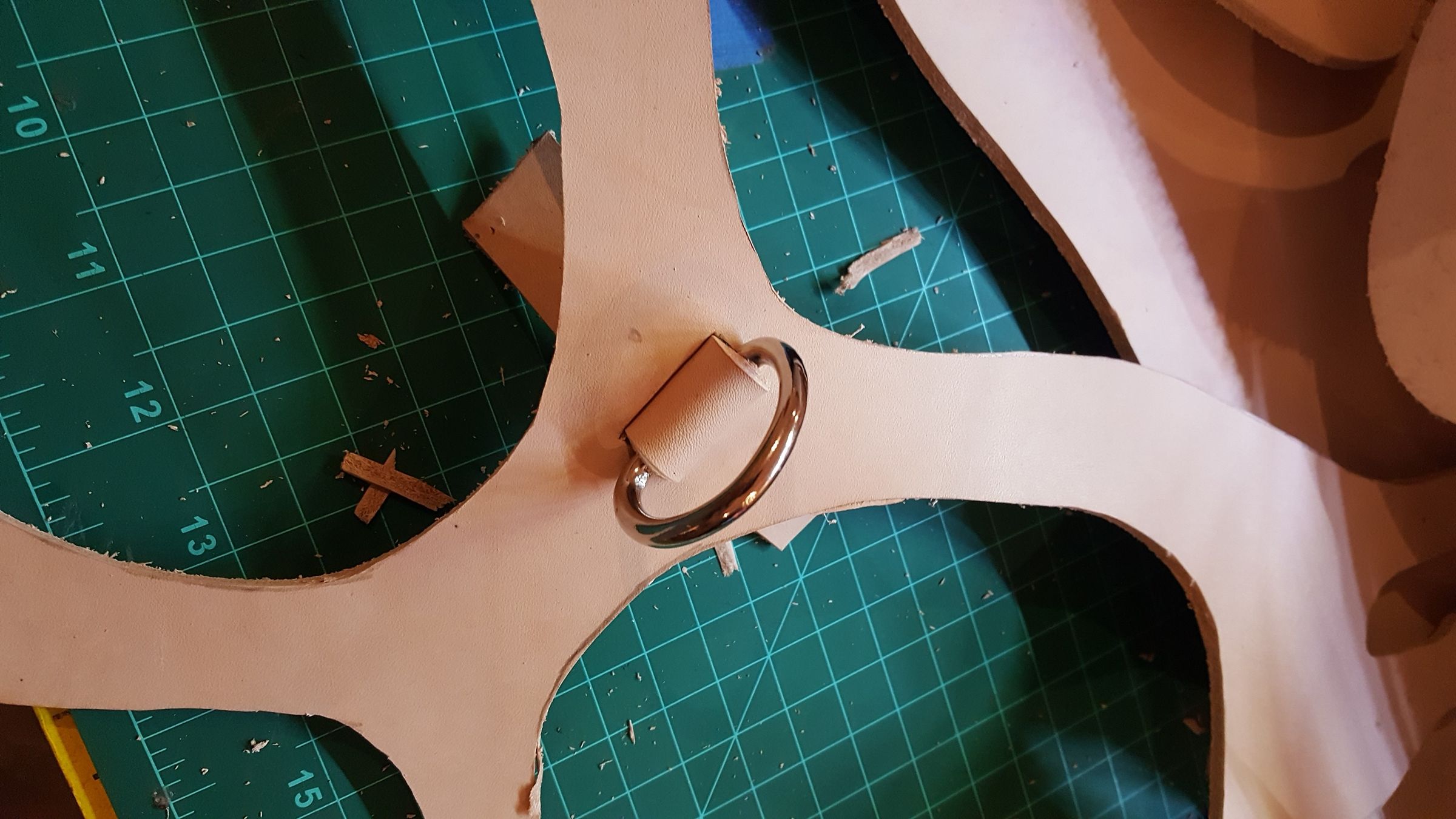 Making a Custom Leather Dog Harness : 17 Steps (with Pictures) -  Instructables