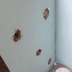 Cut Holes Into the Walls