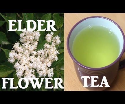 Fresh Elder Flower Tea 