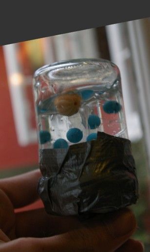 Underwater Basketball Toy