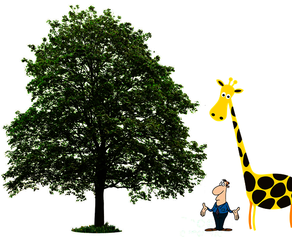 Remote Your Eye As Giraffe