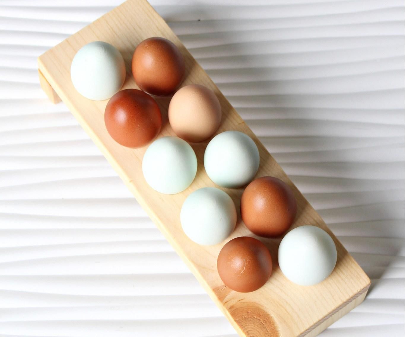 Make an Egg Holder 8 Steps Instructables