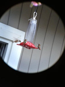 Binocular Mobile Phone Mount.