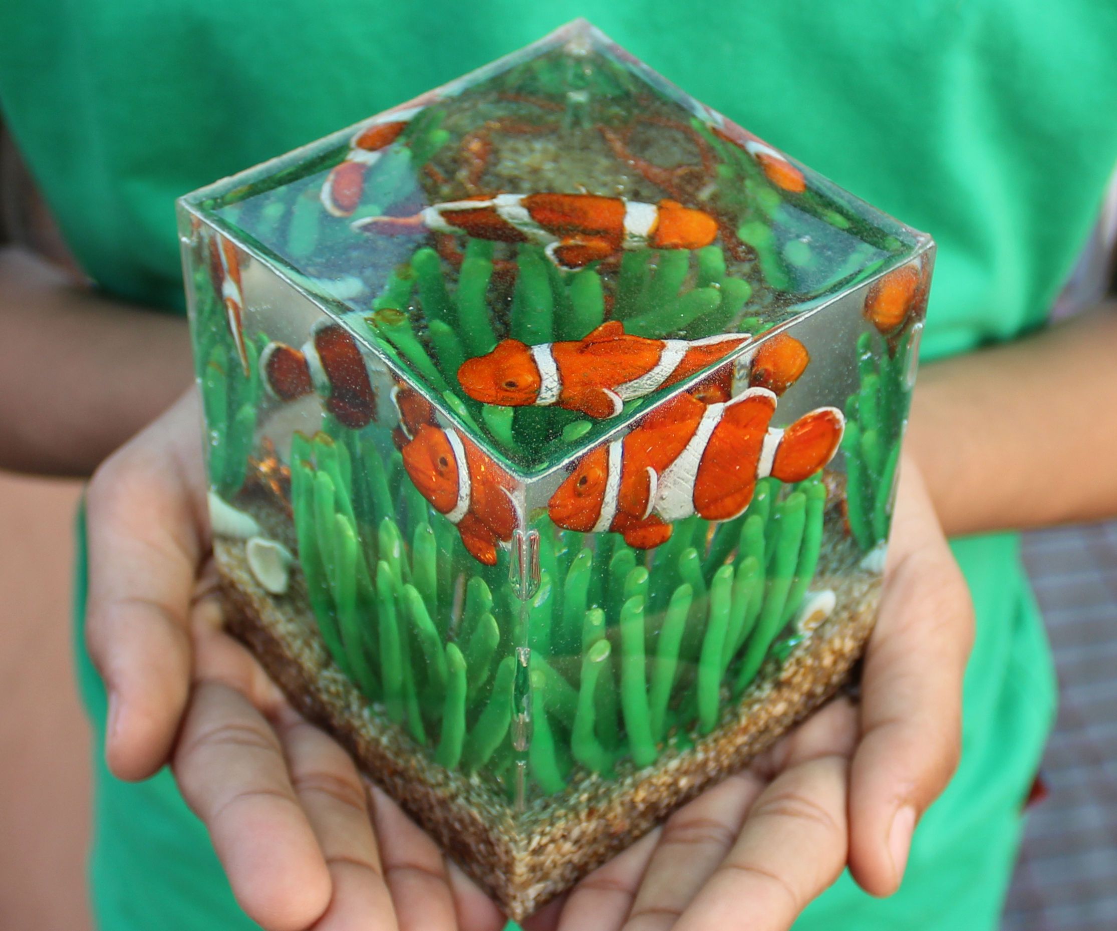 Clown Fish Diorama