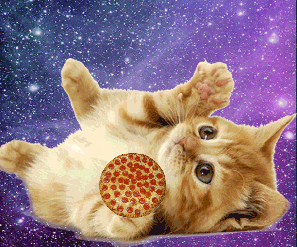 How to Make Animated Gifs About Pizza