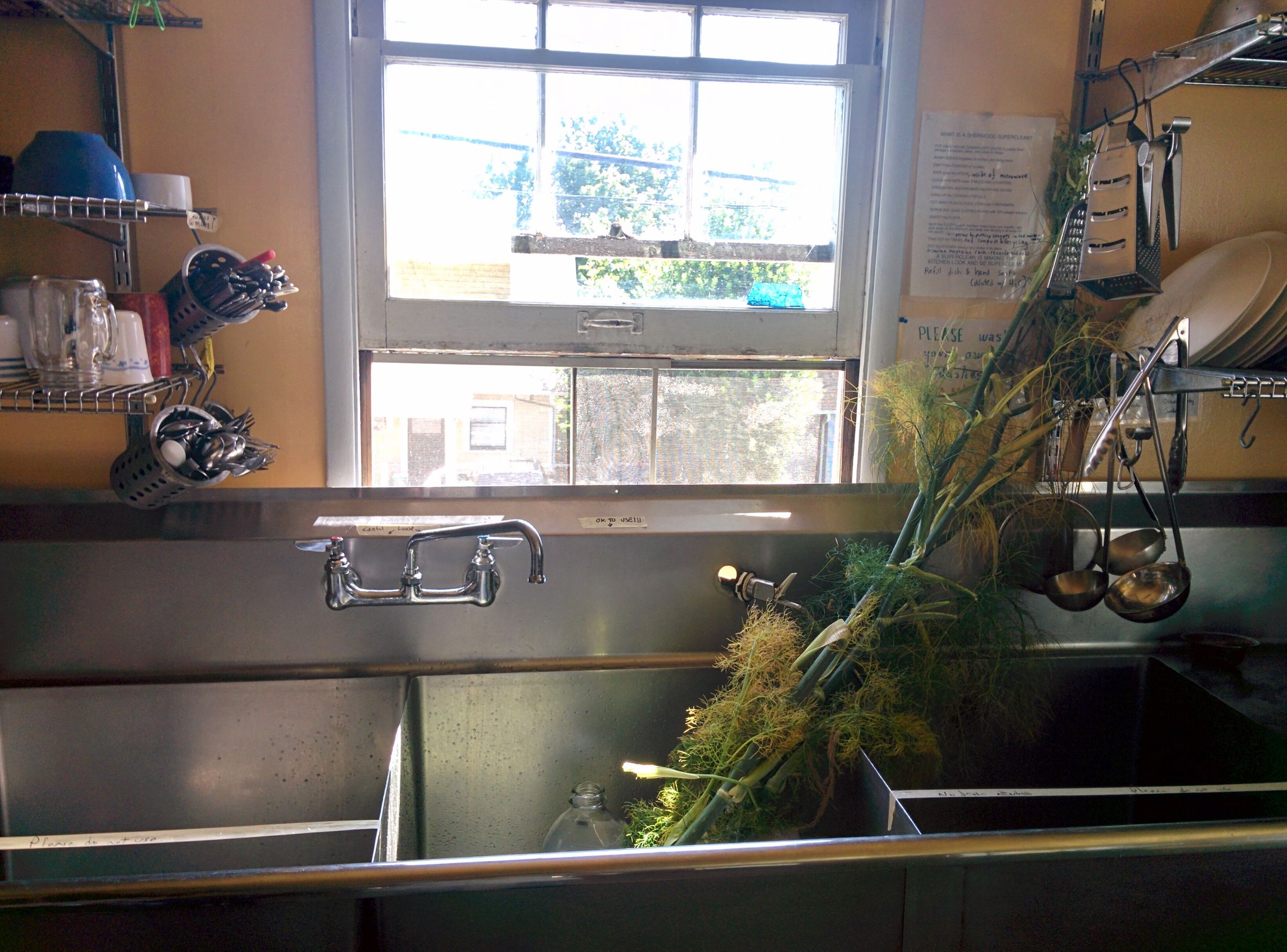 Fennel Stalk Soup Stock 3 Steps Instructables