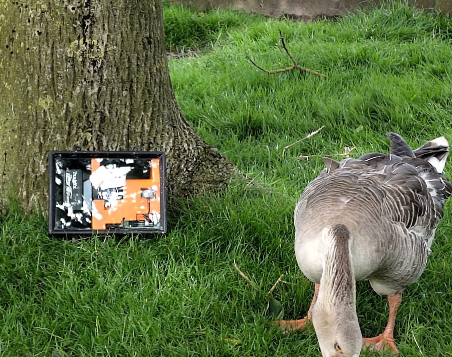 Wildlife Monitoring System