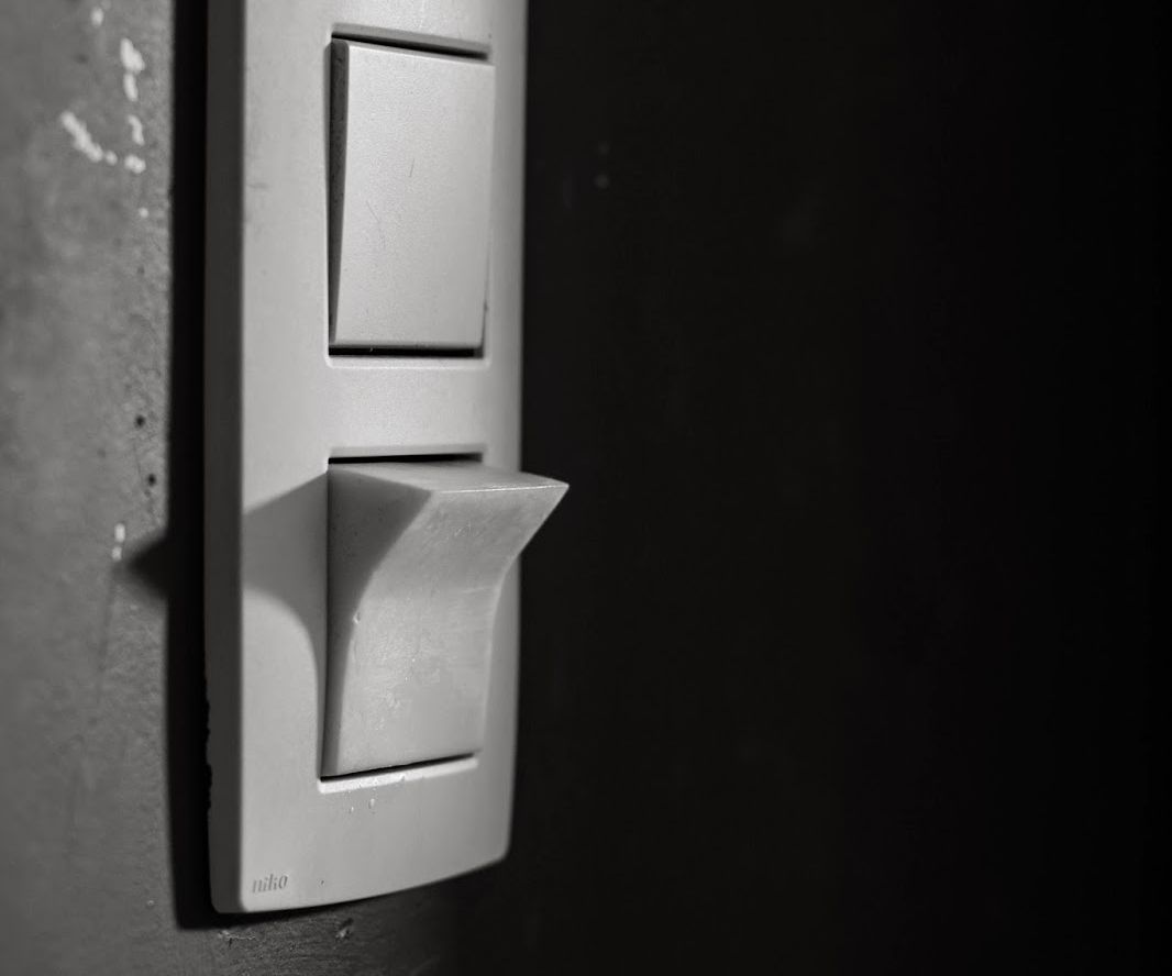 Assistance Dog Light Switches