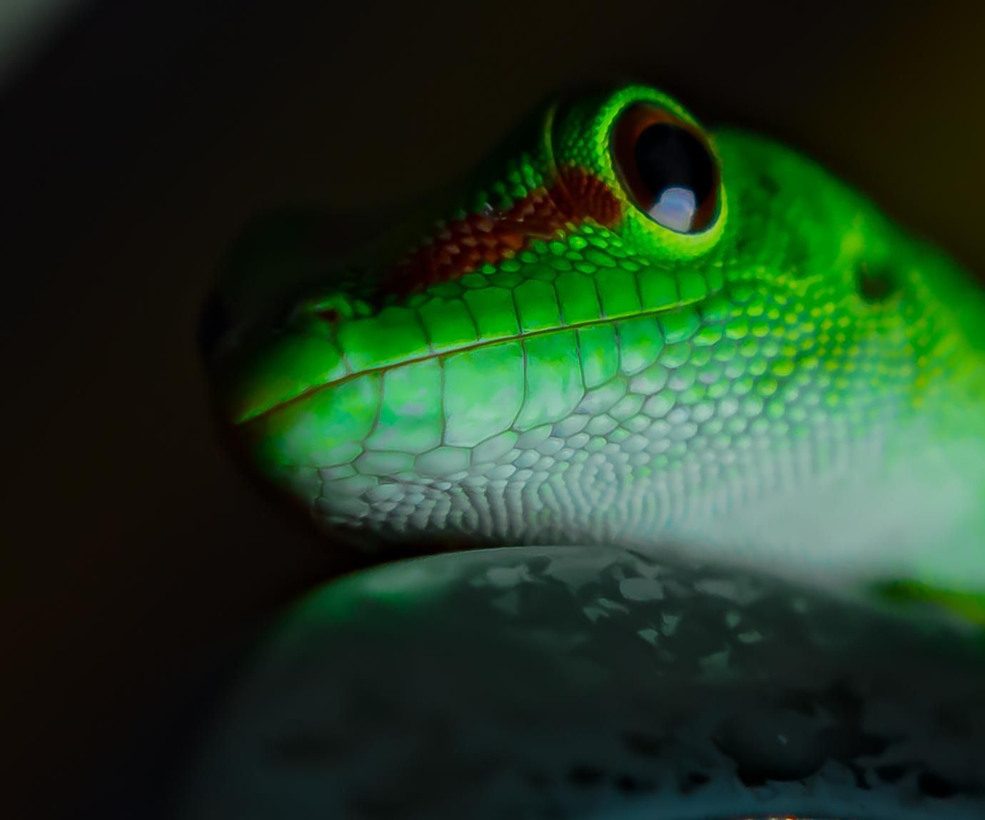 ARDU_Terra - Terrarium Control With PLC (simatic) Comunication