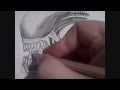 How to Draw HR Gigers Alien Head