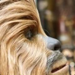 lowededwookie
