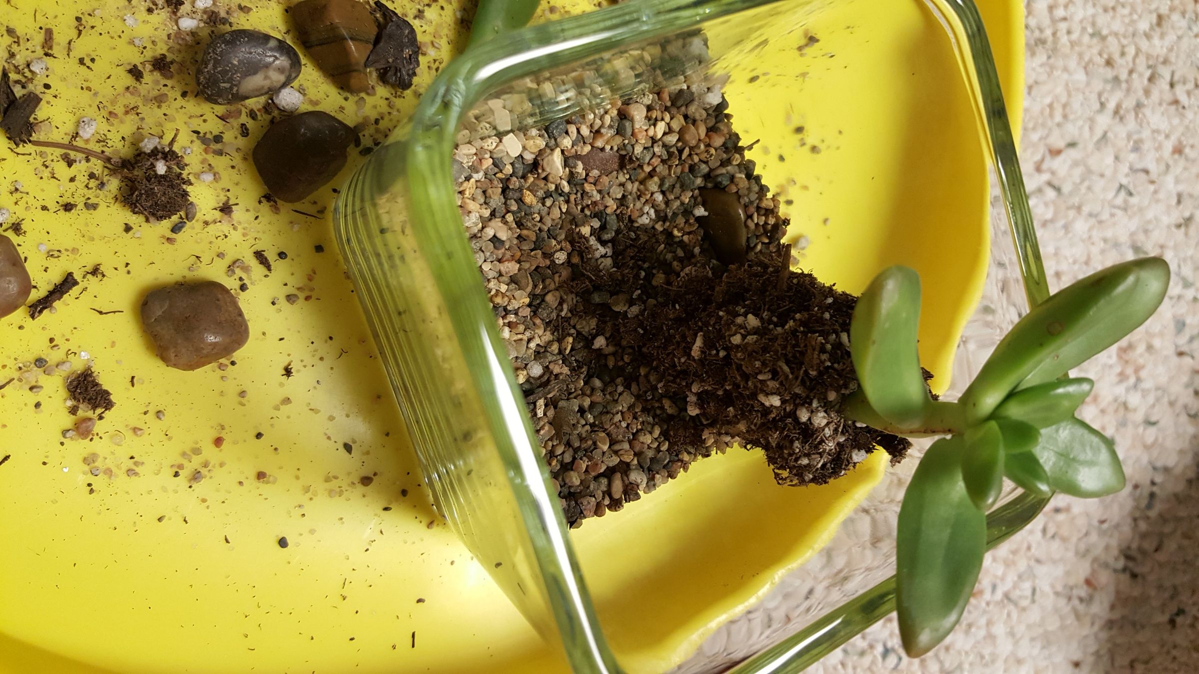 Desktop Zen Garden 9 Steps (with Pictures) Instructables