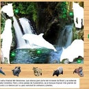 Tutorial Modelo Prototipo