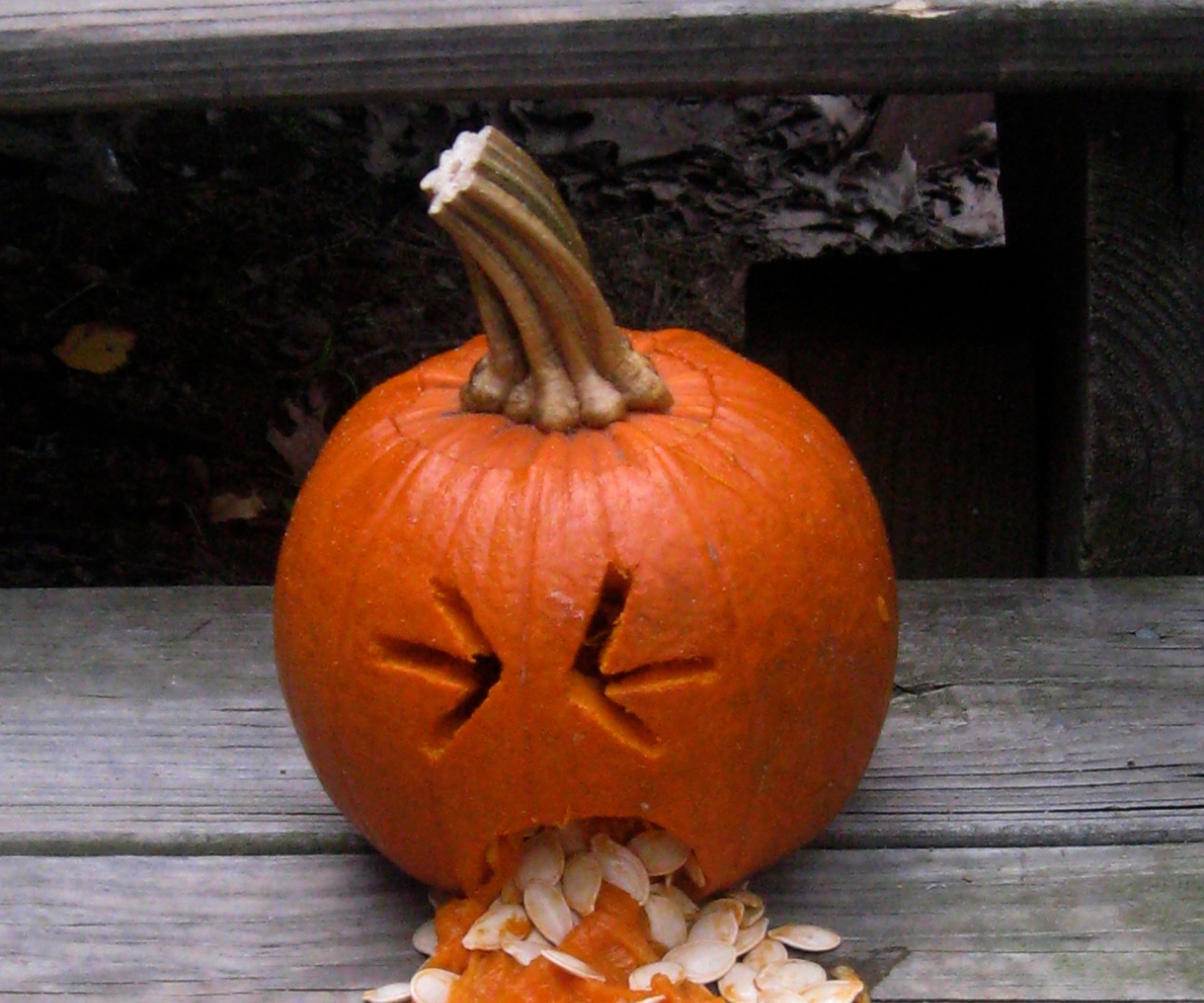 My First and Only Pumpkin Carved in My Life. Humorous