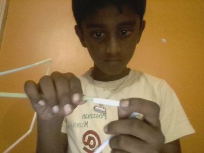 Fix the 44 Straw Bees 