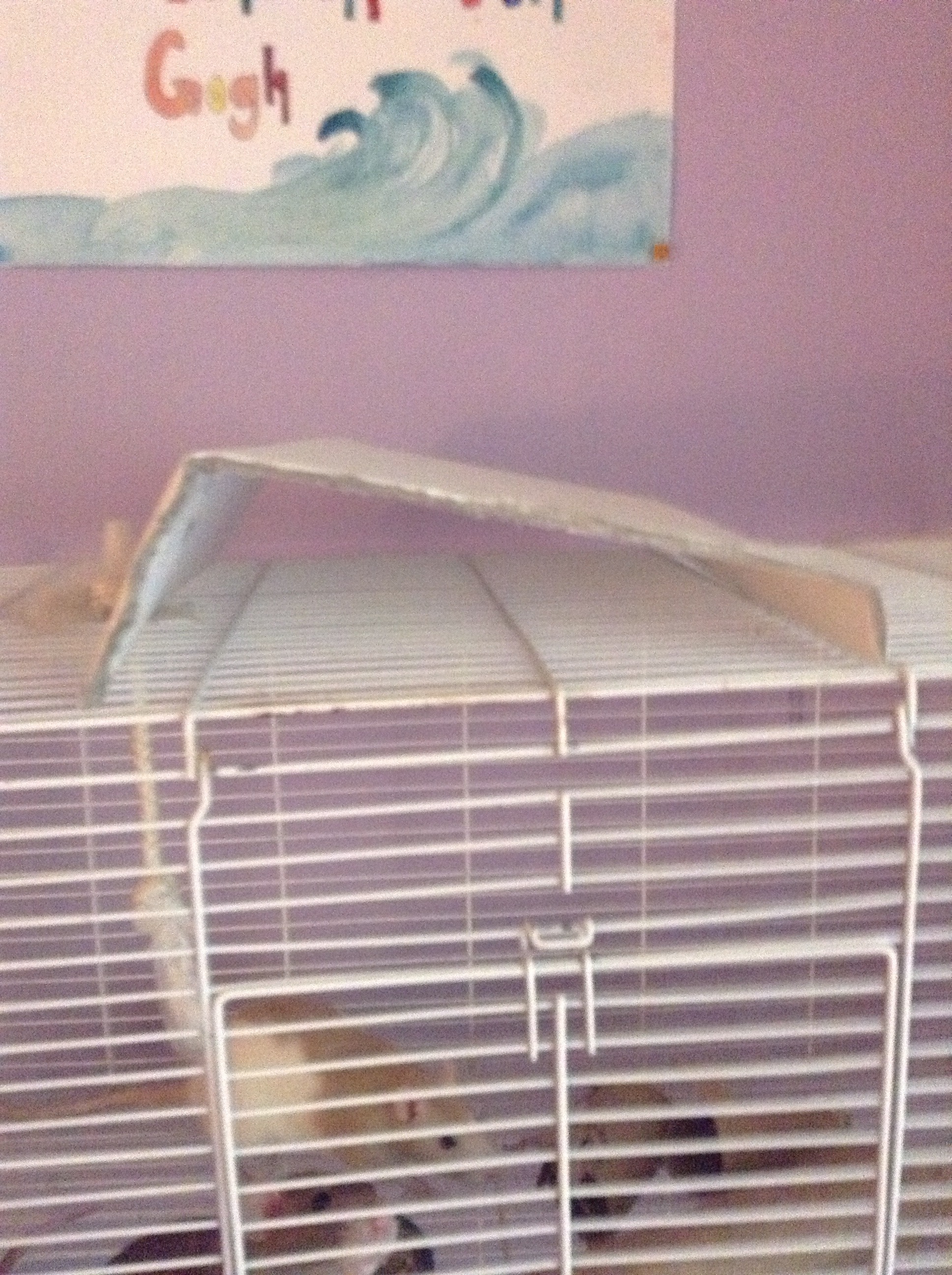 How to Make a Cheap Pet Rat Hideout 5 Steps Instructables