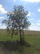 Summer Photography