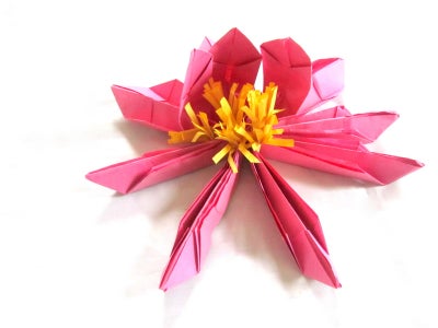 Repeat for the Other Petals