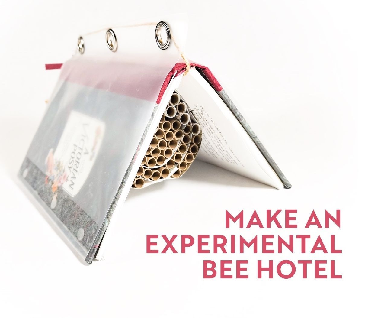 Make an Experimental Bee Hotel