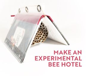 Make an Experimental Bee Hotel