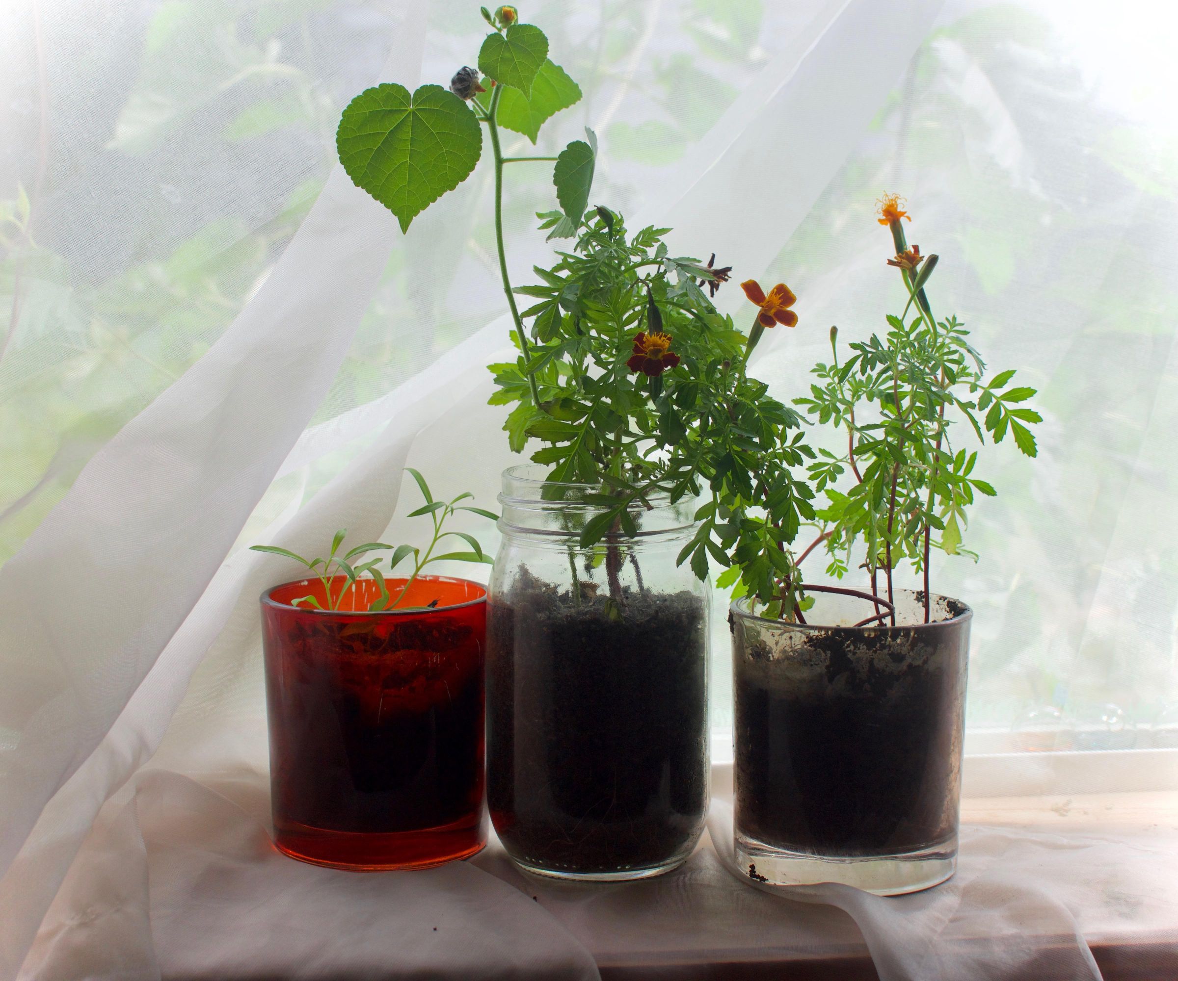 Recycled Indoor Garden