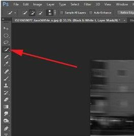 Select the Quick Selection Tool
