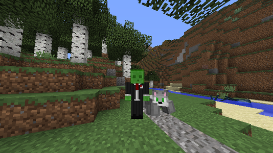 Easy Custom Minecraft Dog (No Mods) : 9 Steps - Instructables