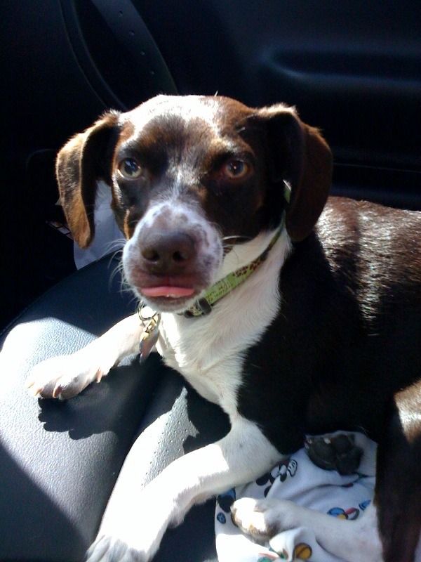 How to Make Your Life Awesome With Life Hacks