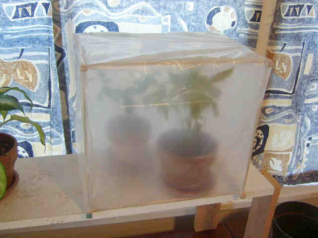Indoor Greenhouse for Seedlings