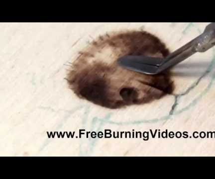 Pyrpgraphy: How to Burn Realistic Looking Dog and Wolf Noses