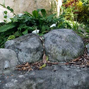 TRASH ROCKS -- Eliminate Unrecyclable Trash : 8 Steps - Instructables