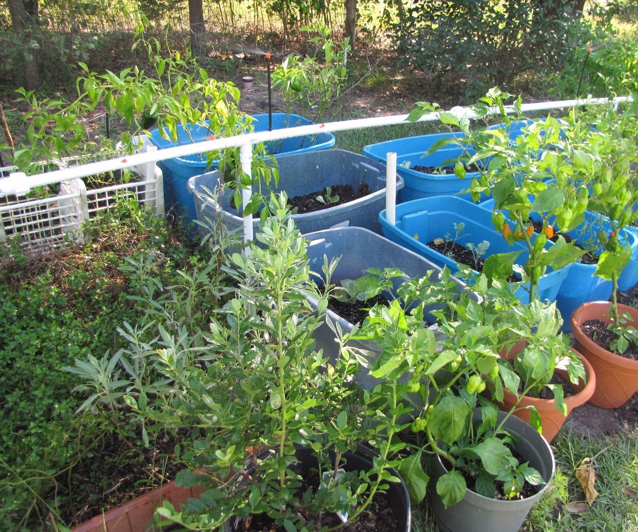 Fast and Easy, PVC Garden Watering System (for Under $70)
