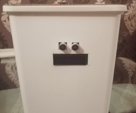 Auto Trash Bin for Blind People