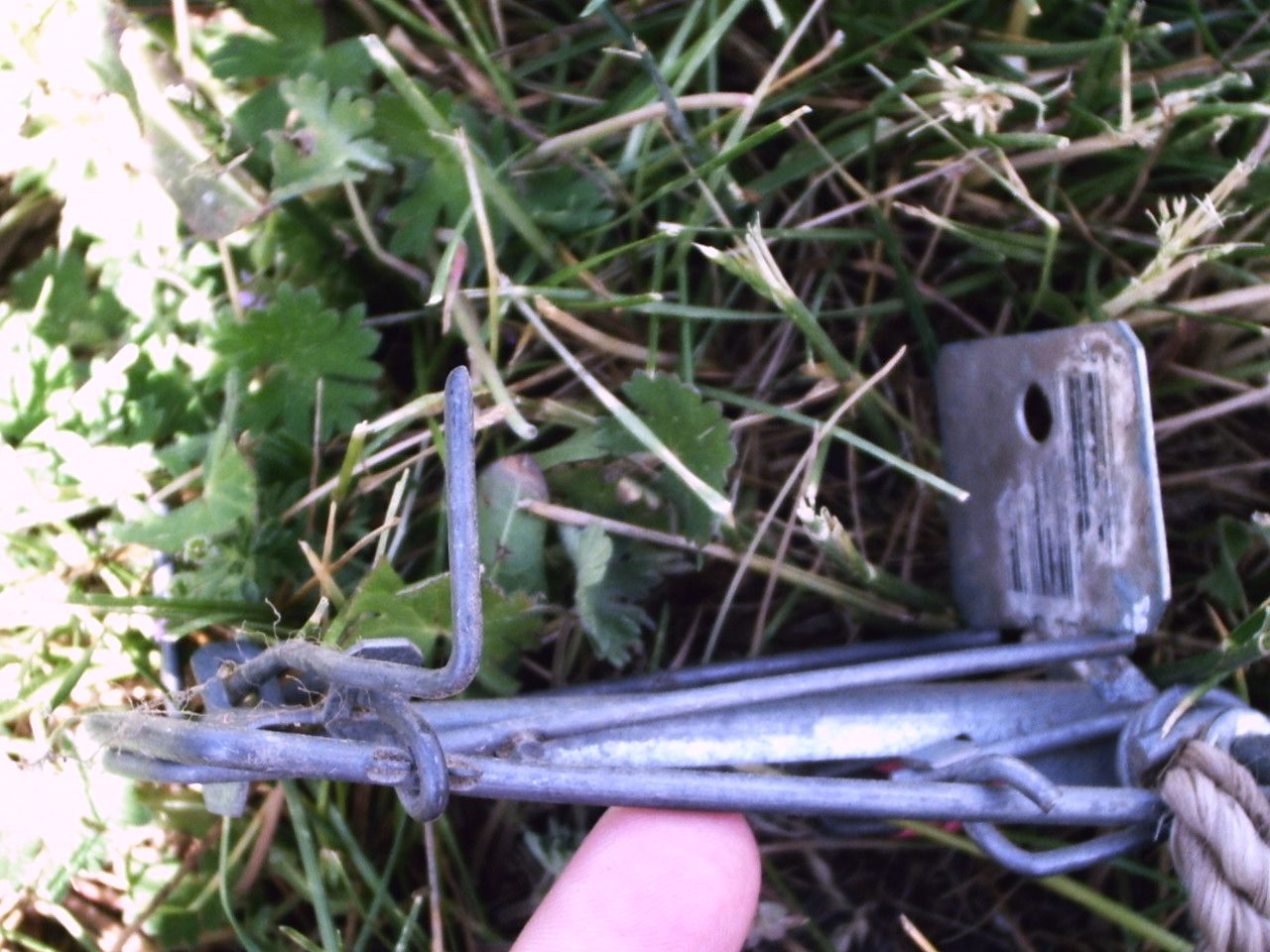 How to Trap and Kill Gophers