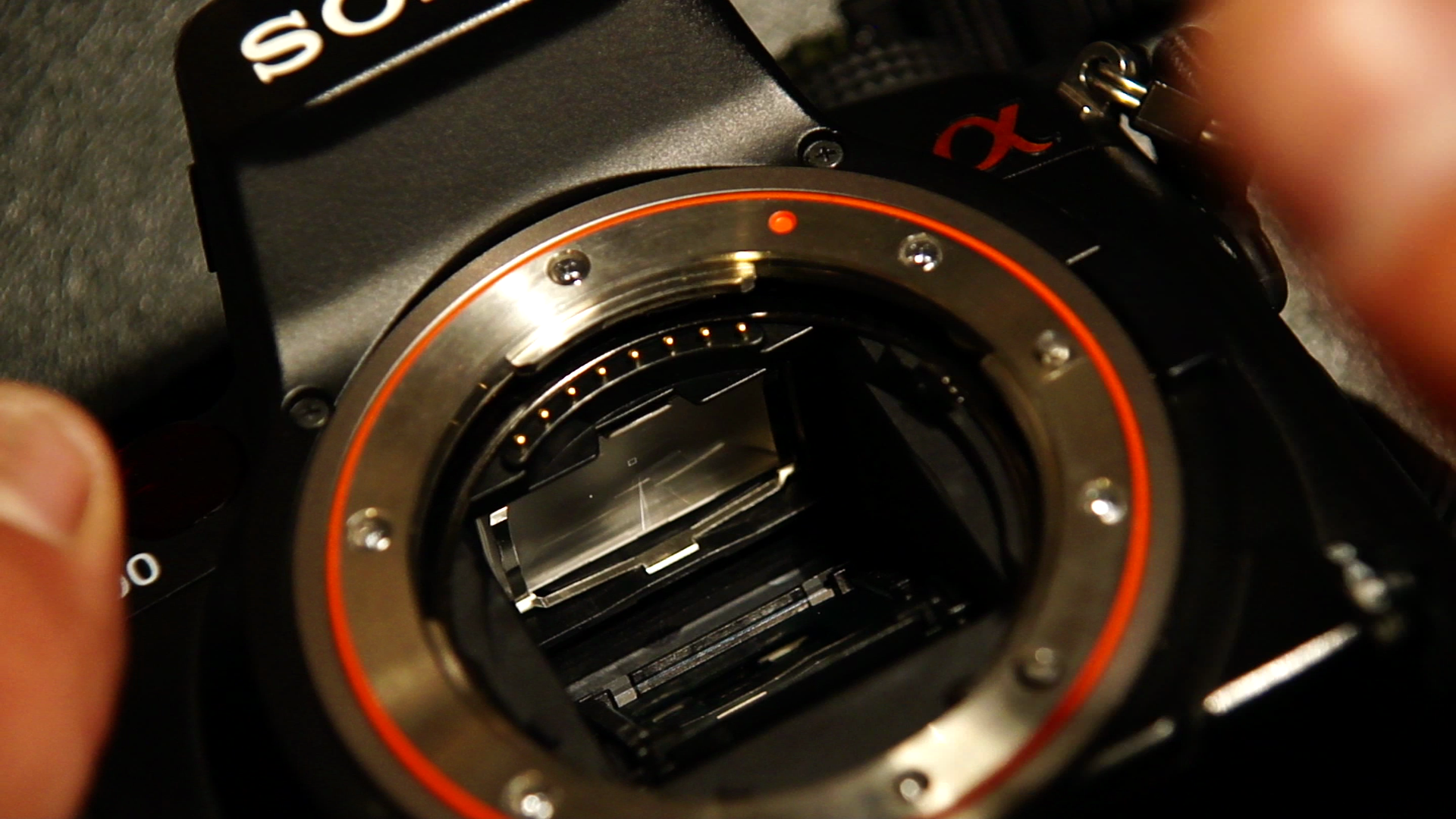 How to Change the Focusing Screen of a Sony Alpha 700 (a700)