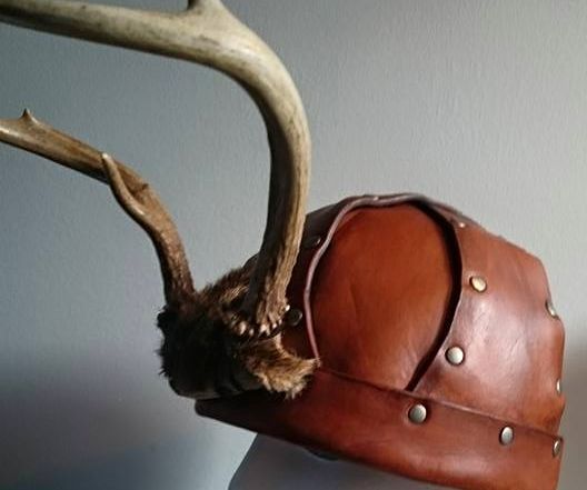Horn Helmet