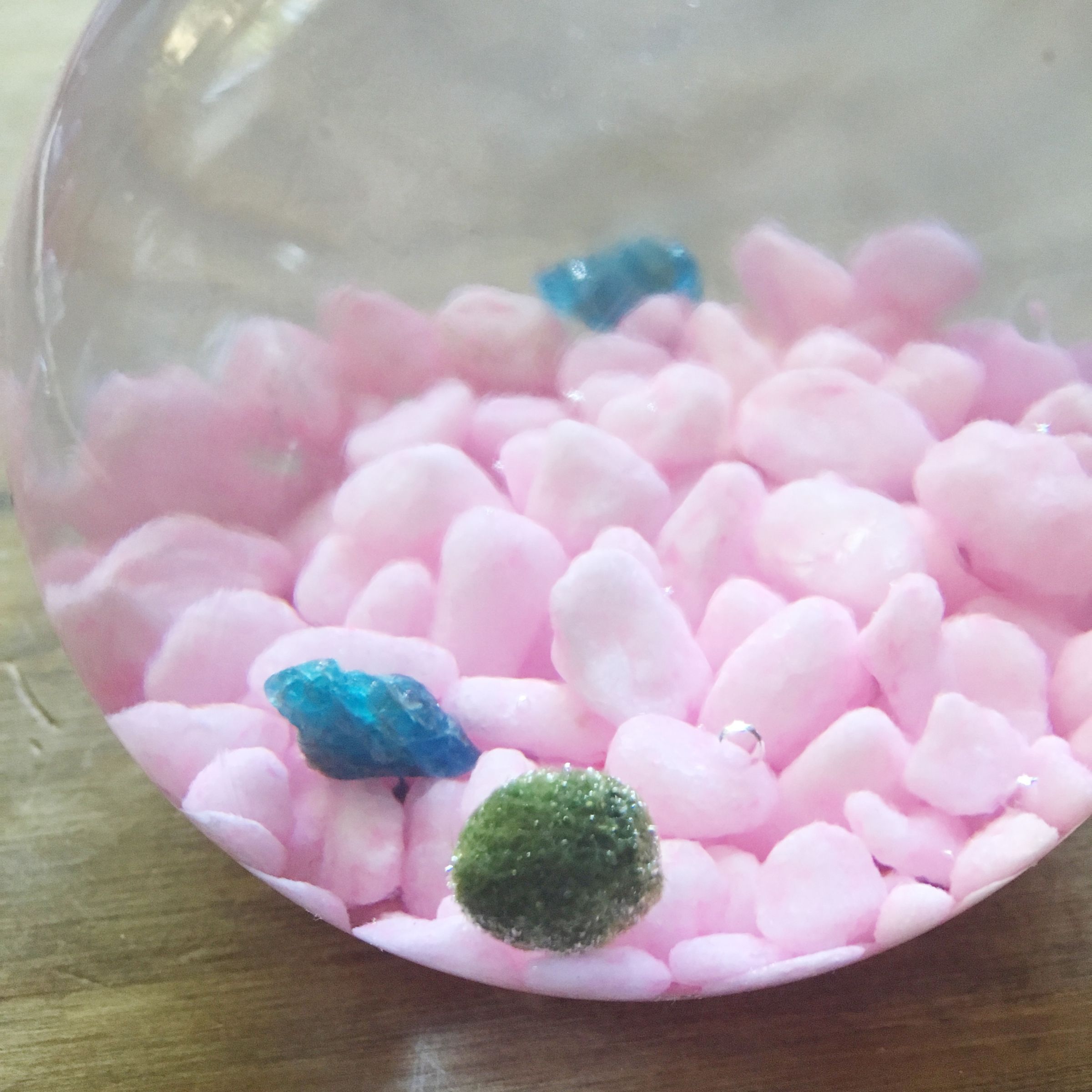 Marimo Moss Ball 6 Steps (with Pictures) Instructables