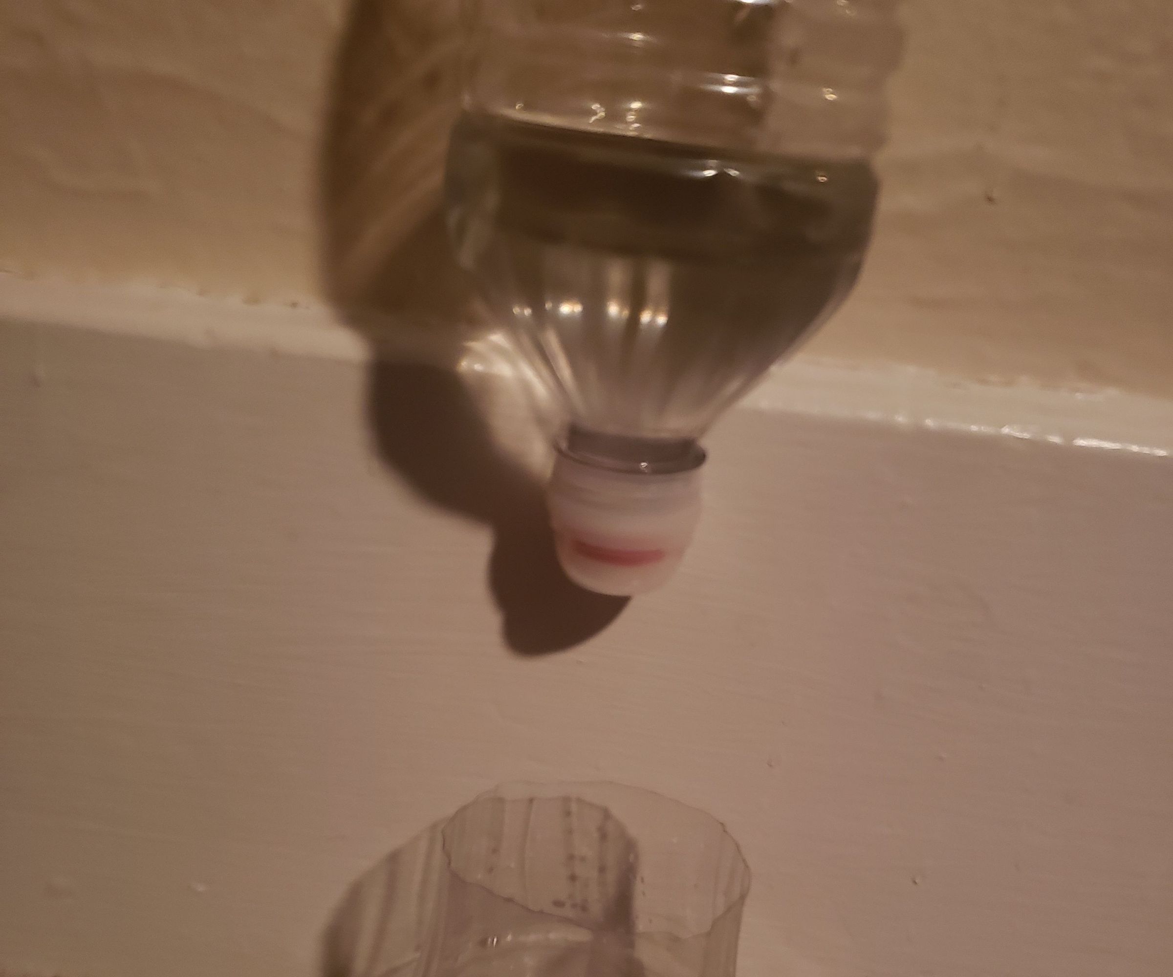 Watering Water Bottle Planter