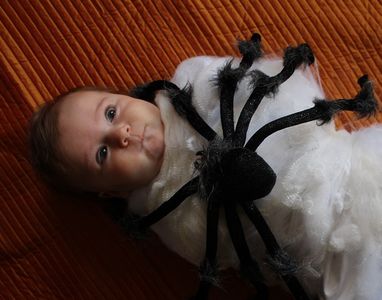 Spider Attack