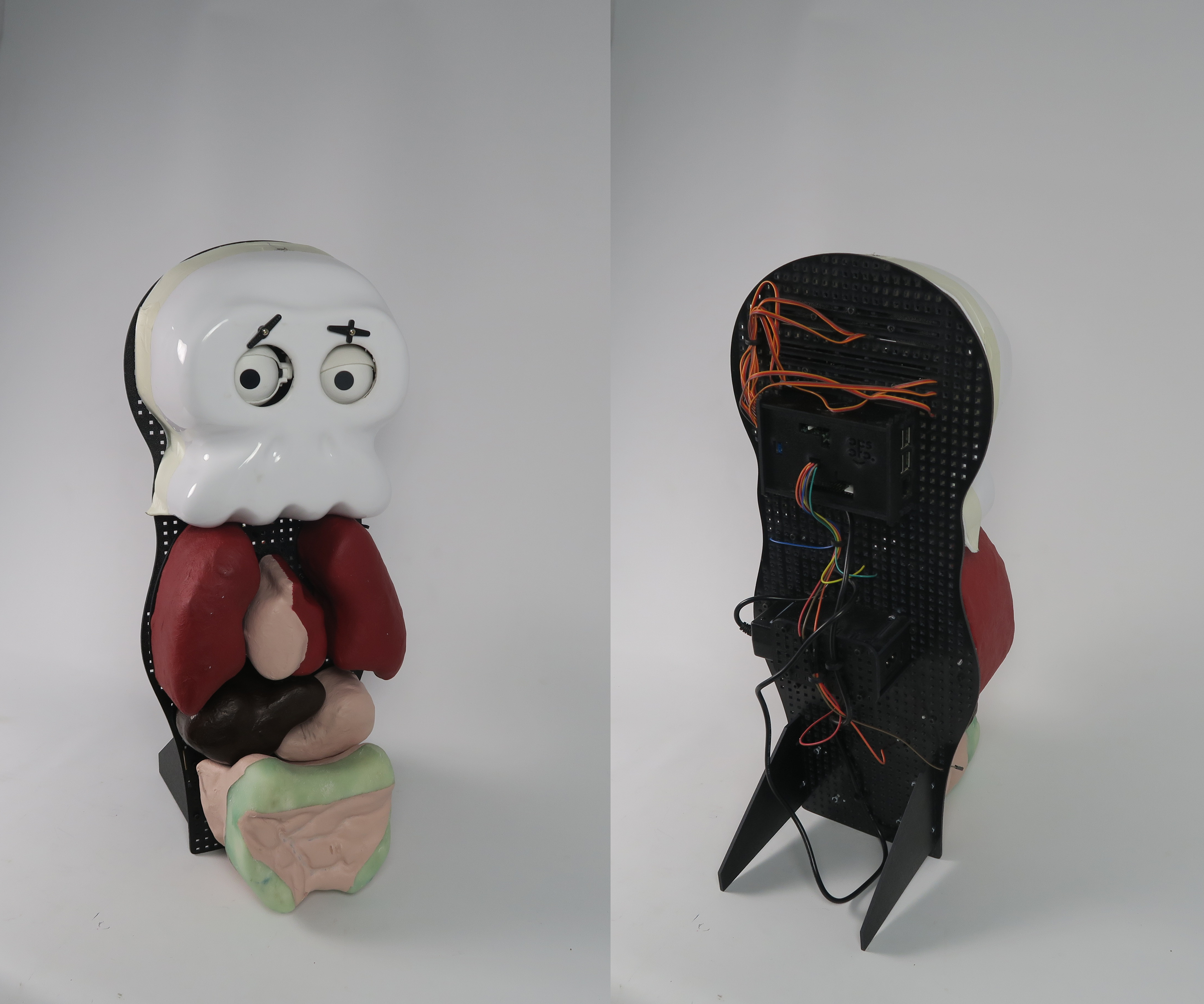BONO: the Social Anatomy Robot