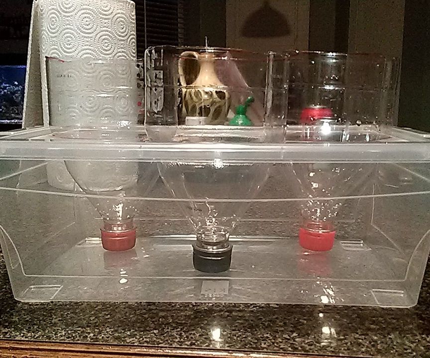 Wicking Pop Bottle Garden
