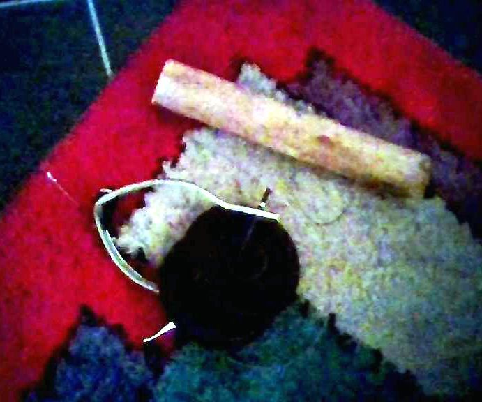 Make a Wrist Roller for $0