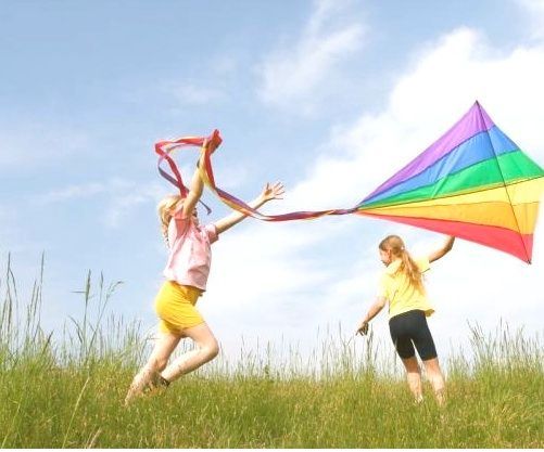 My Teacher Told Me to Go Fly a Kite, So I Did.