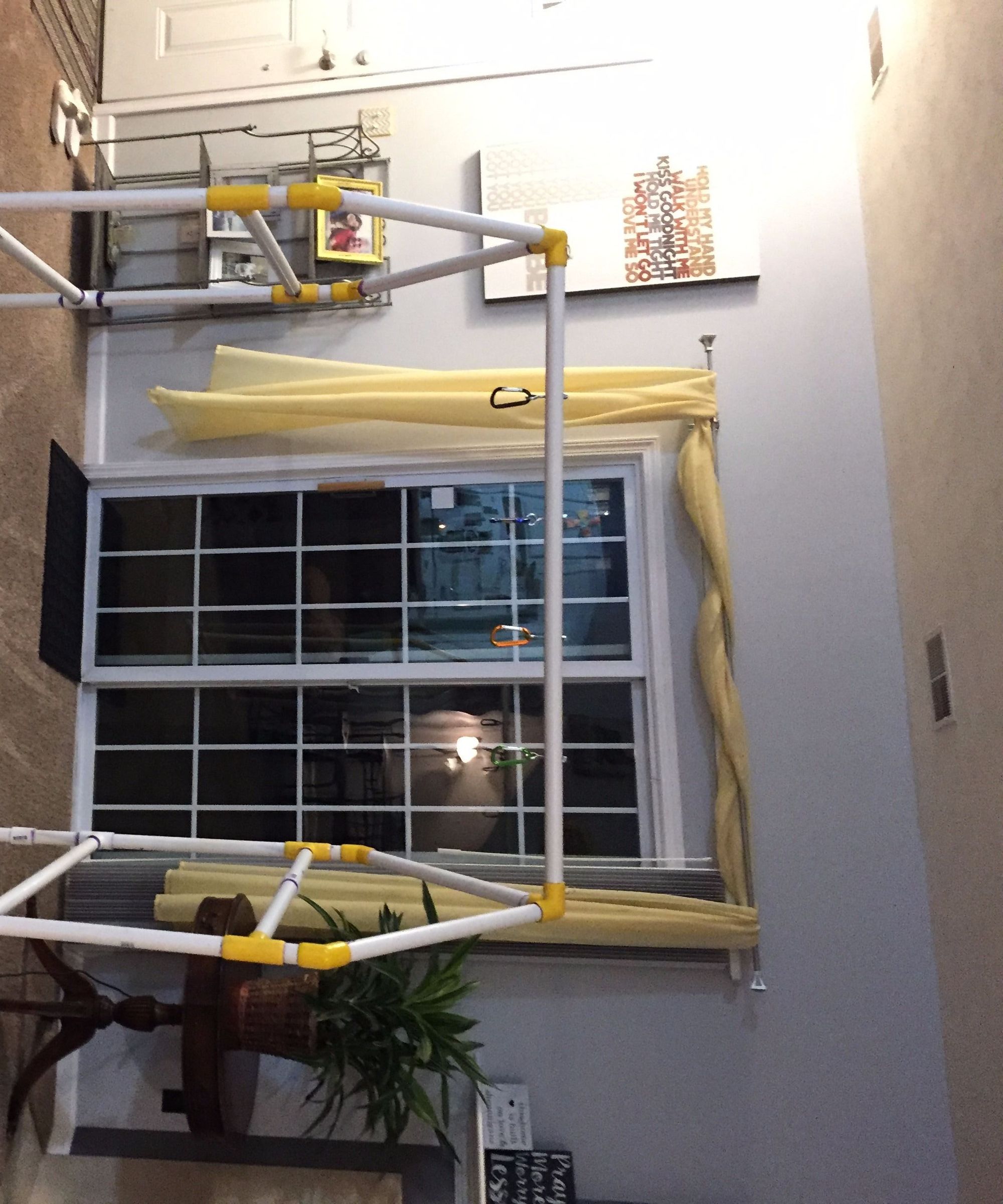 Indoor Dog Jungle Gym