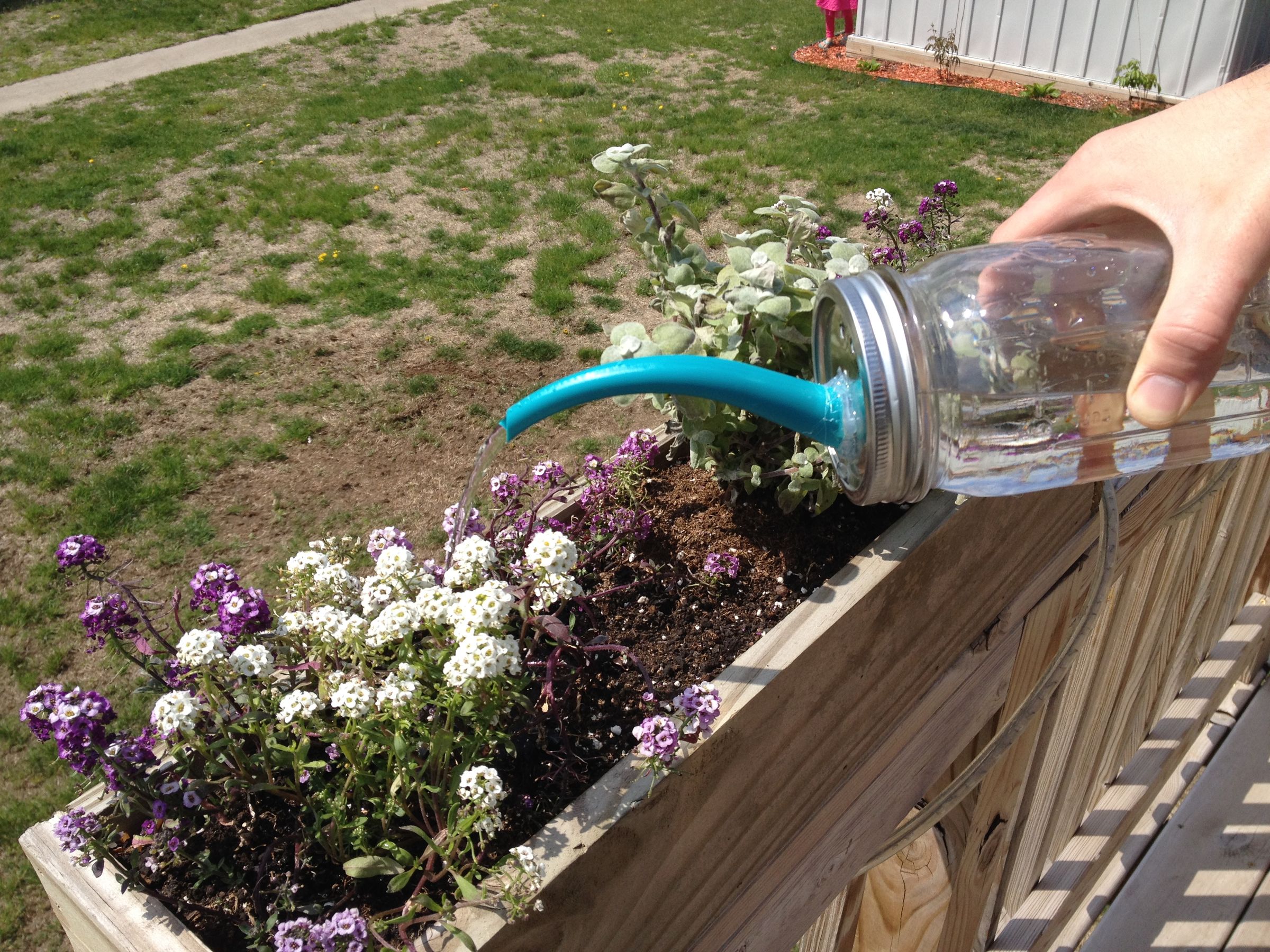Mason Jar Watering 3 Steps Instructables