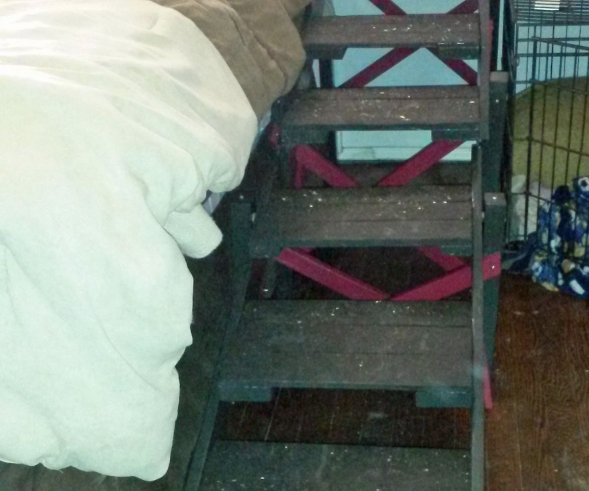 Daugherty's Step-Ramp